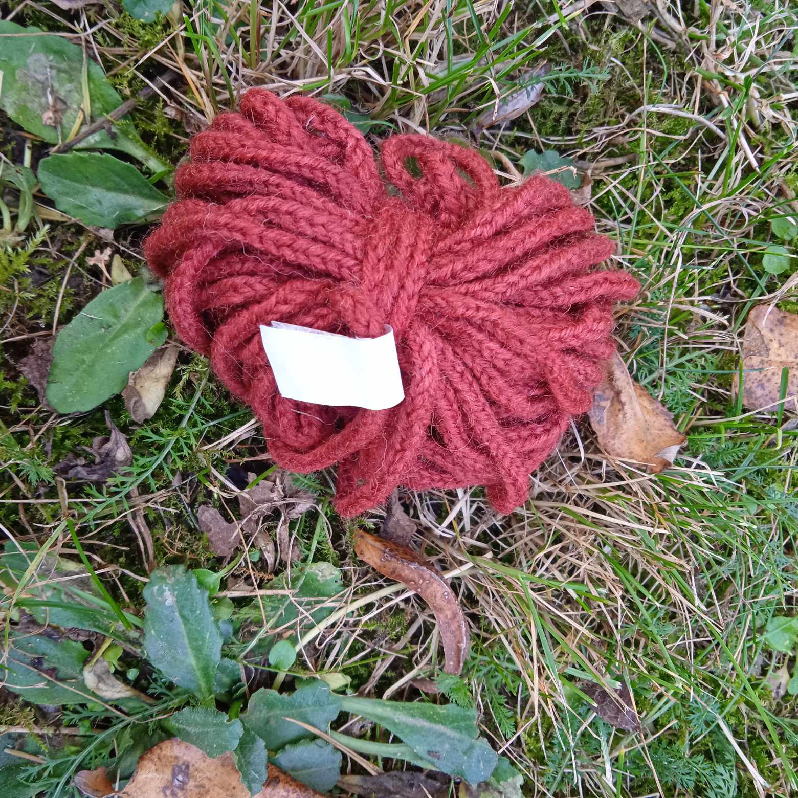 Lucetová tkanice rezavá