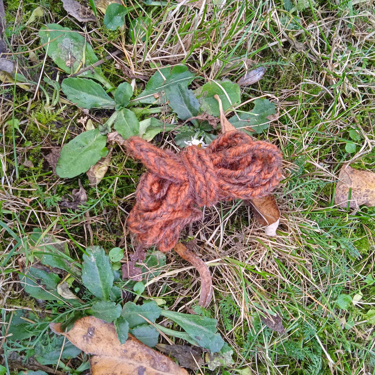 Lucetová tkanice oranžovo-hnědá