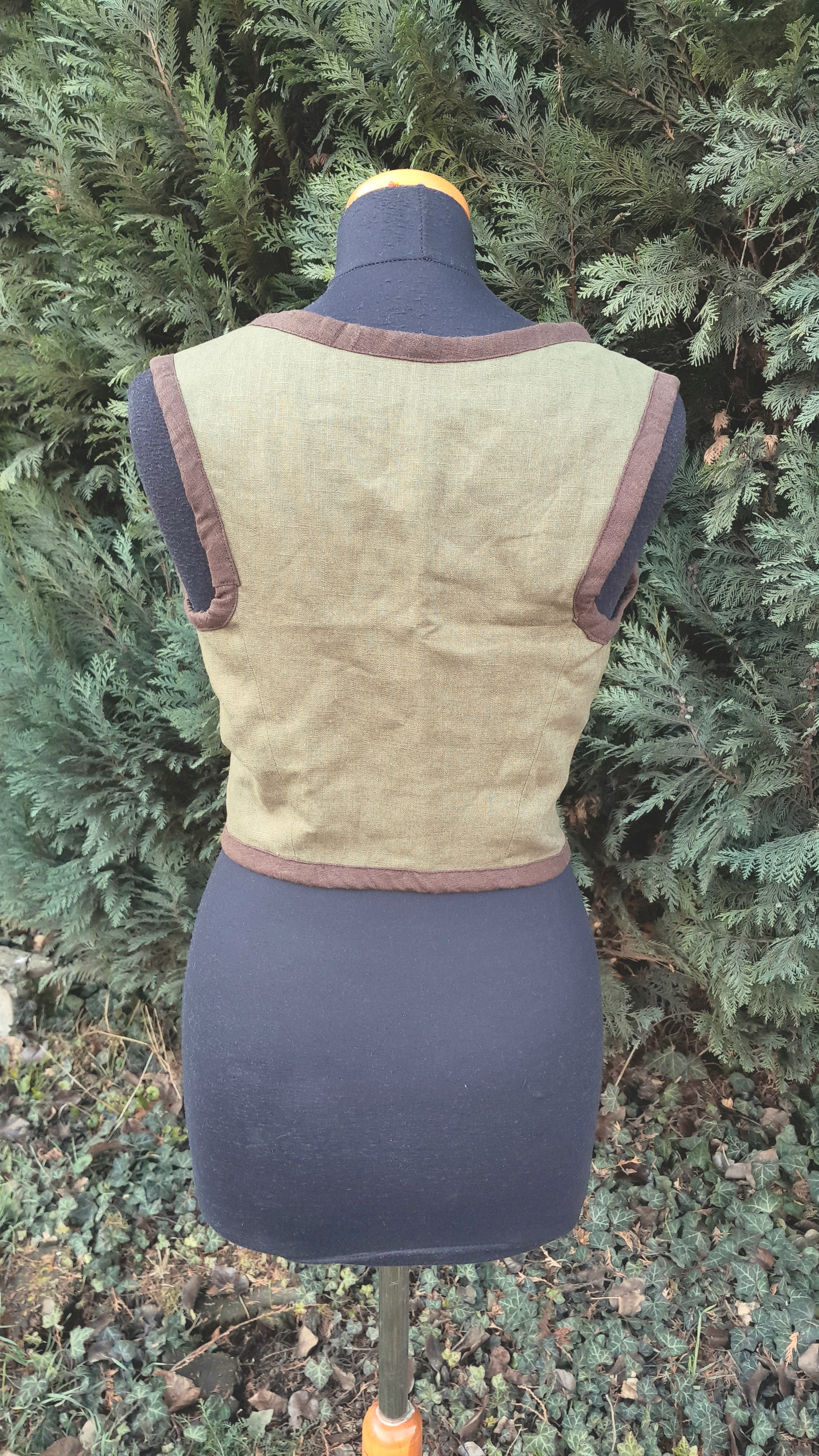 Šněrovačka zelená s tmavě hnědými lemy