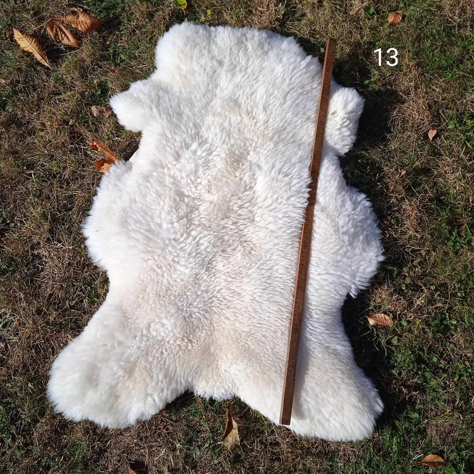 Ovčí kožešina bílá střední