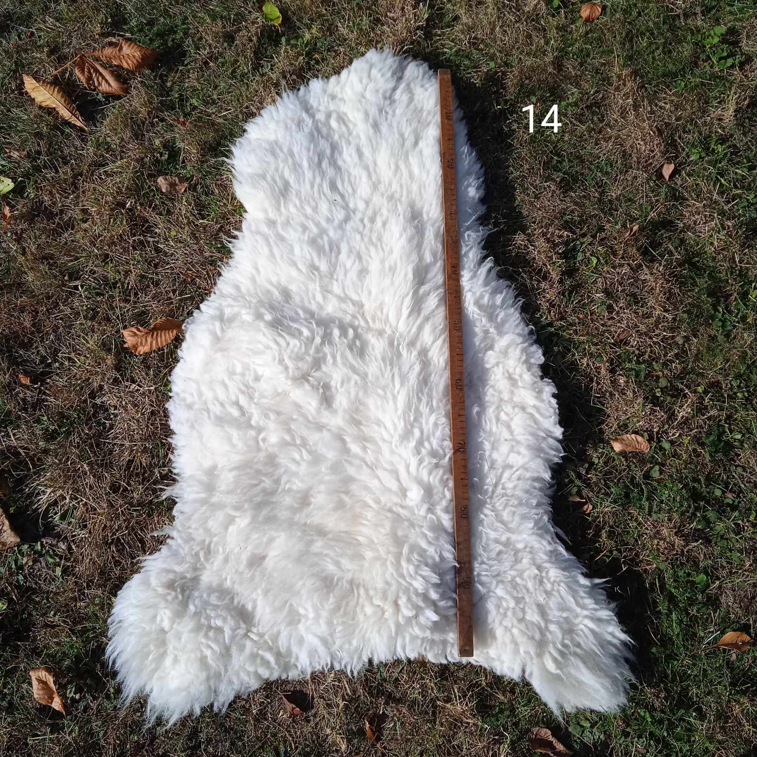 Ovčí kožešina bílá střední